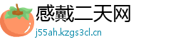 感戴二天网